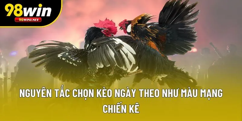 Nguyên tắc chọn kèo ngày theo như màu mạng chiến kê